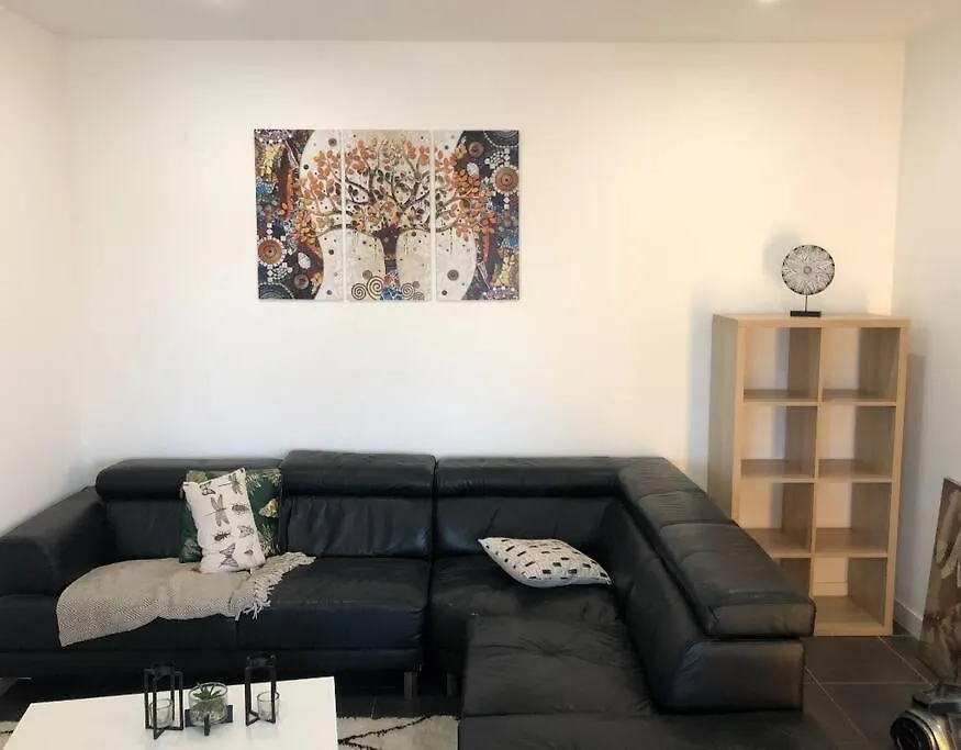 Chambre Qualite Hotel 4 Etoiles Dans Un Appartement Partage Frouzins